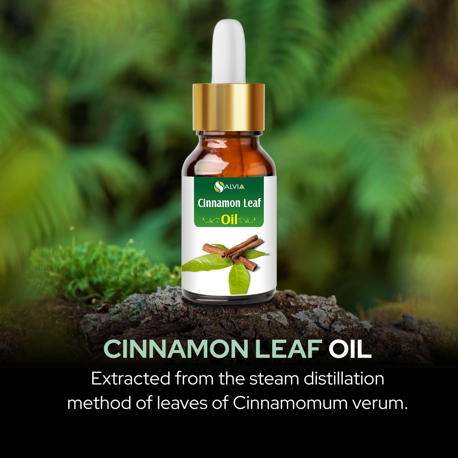 Salvia Natural Essential Oils,Dandruff,Greasy Oil,Anti Fungal,Anti-fungal Oil,Oil for Greasy Hair Cinnamon Leaf Oil Salvia Natural Essential Oils,Dandruff,Greasy Oil,Anti Fungal,Anti-fungal Oil,Oil for Greasy Hair Cinnamon Leaf Oil